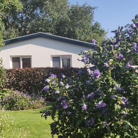 Vakantiebungalow Texel デ・カクスドルプ エクステリア 写真