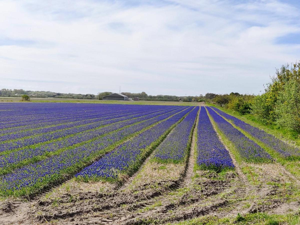 Vakantiebungalow Texel デ・カクスドルプ エクステリア 写真