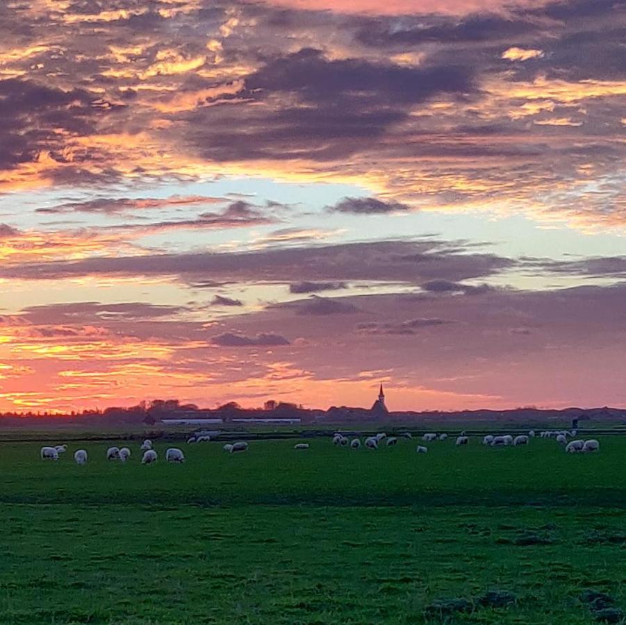 Vakantiebungalow Texel デ・カクスドルプ エクステリア 写真