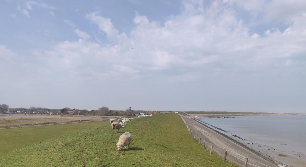 Vakantiebungalow Texel デ・カクスドルプ エクステリア 写真