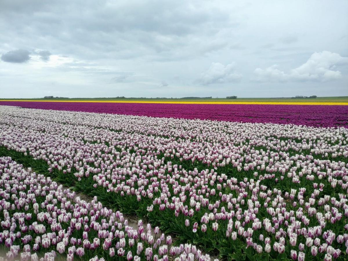 Vakantiebungalow Texel デ・カクスドルプ エクステリア 写真