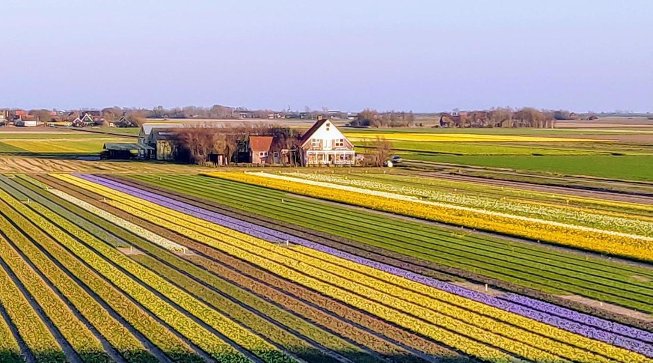 Vakantiebungalow Texel デ・カクスドルプ エクステリア 写真
