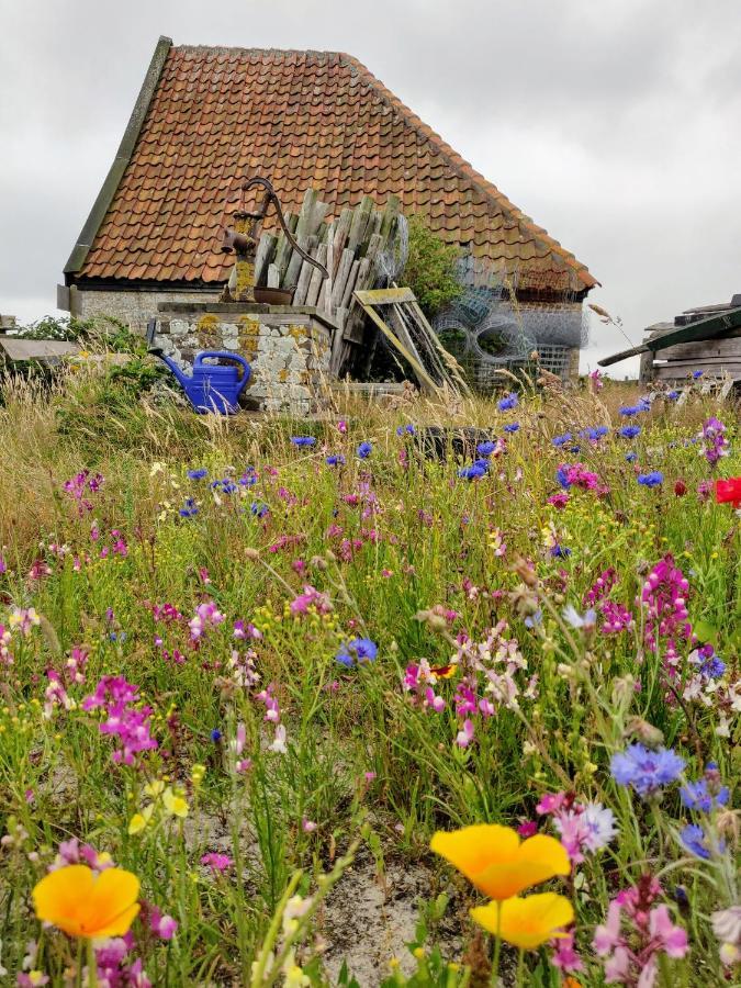 Vakantiebungalow Texel デ・カクスドルプ エクステリア 写真
