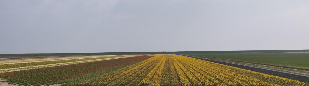 Vakantiebungalow Texel デ・カクスドルプ エクステリア 写真